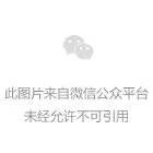 狐里狐涂