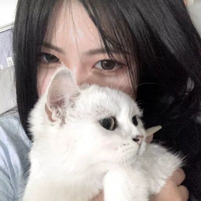 摩托污垢挑战赛