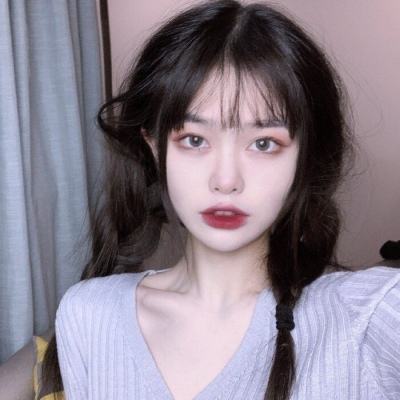 组装机械上古翼龙