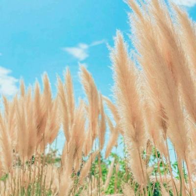 伊甸直飞2023直达每日更新网