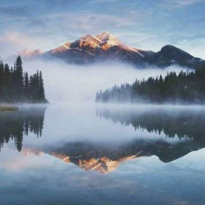 秘密入口永久地址发布页