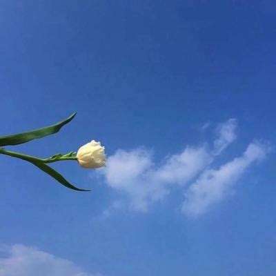 欧美视频无砖专区一中文字目 欧美视频无砖专区一中文字目