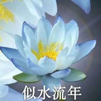 欧美视频无砖专区一中文字目