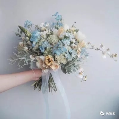 宿命:启程