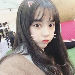 欧洲足球训练赛
