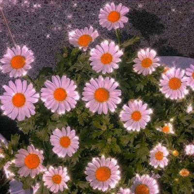 漂亮公主装束