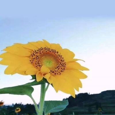 卸任7年后，主动交代问题的市政协原主席被逮捕