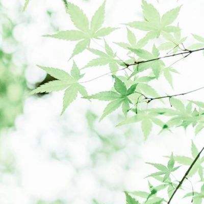 亚洲88AV无码秘 蜜桃成熟时