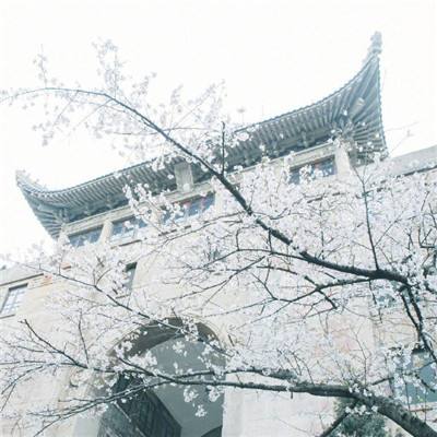 智力水滴