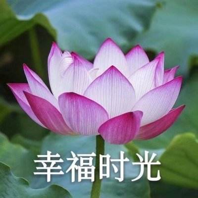 超级战队红战士
