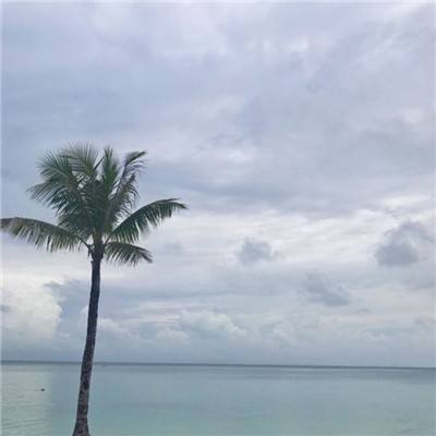 世界杯32强点球大赛