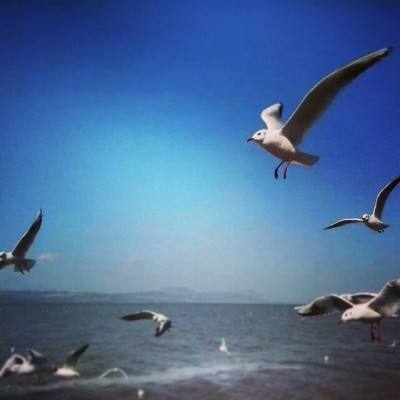 临海