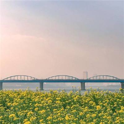 91轻量版最新版苹果手机描述文件截图
