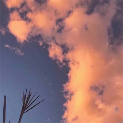 二虎半吊子（辽戏）