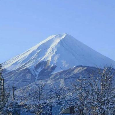 苹果游戏