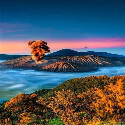 出纳拳击场