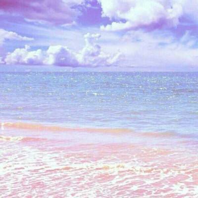 海绵宝宝抢圣诞礼物