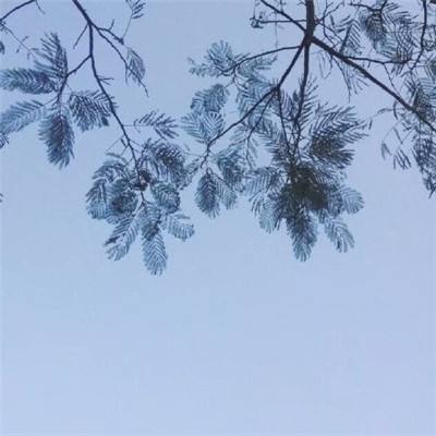 情色恐怖怪谈之废墟游戏截图