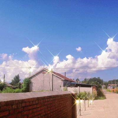英伟达成为全球市值最高上市企业
