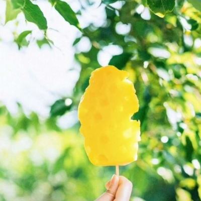 王子联会见参加光博会重要嘉宾 | 优势互补资源共享 加强协作实现共赢