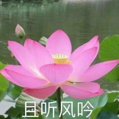 海绵宝宝井字棋