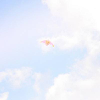 蜜桃成熟时无删减版在线截图
