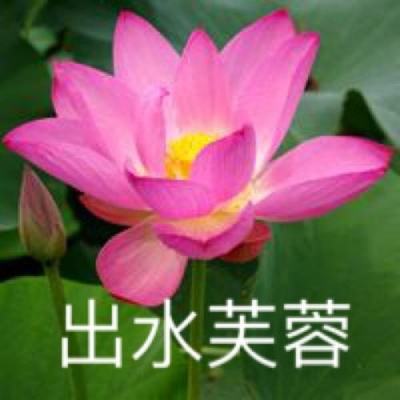 央视调查起底假冒奢侈品产业链：3000元拿货卖20000元