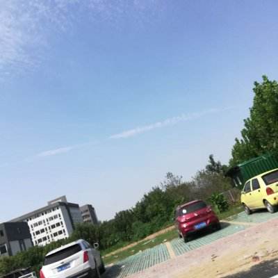 Alpha传奇