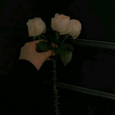 鲸鱼吃小鱼
