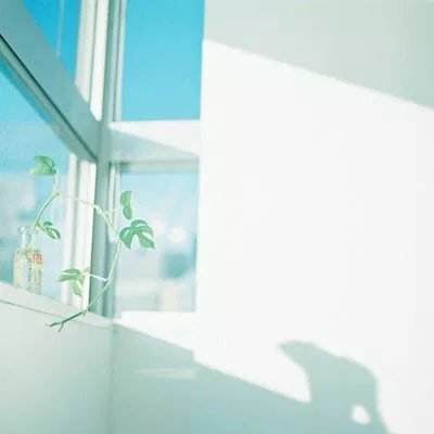 细菌大战无敌版