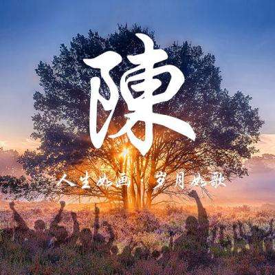 鲍勃大盗2