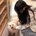 这就是赛车