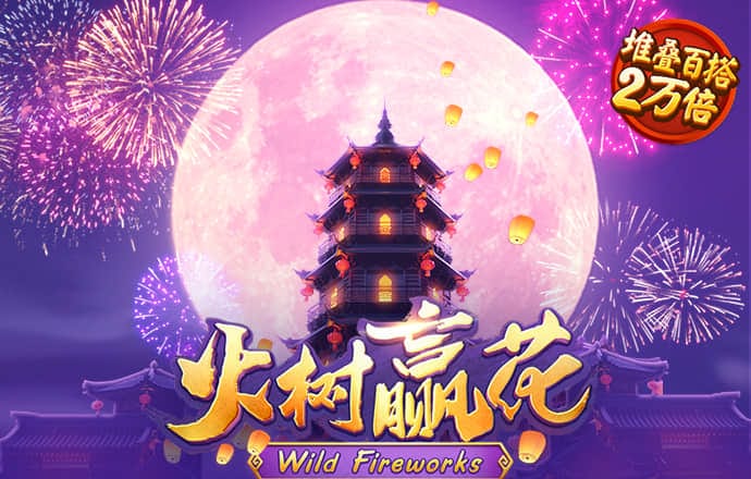 拳击高手之路
