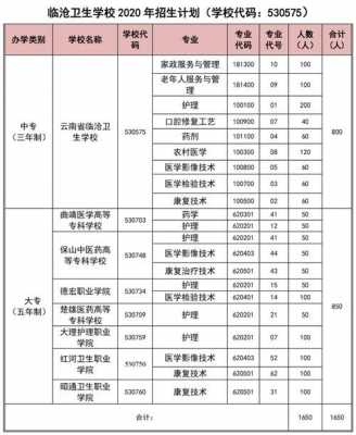 临沧卫校学费多少五年制大专？临沧医疗保险