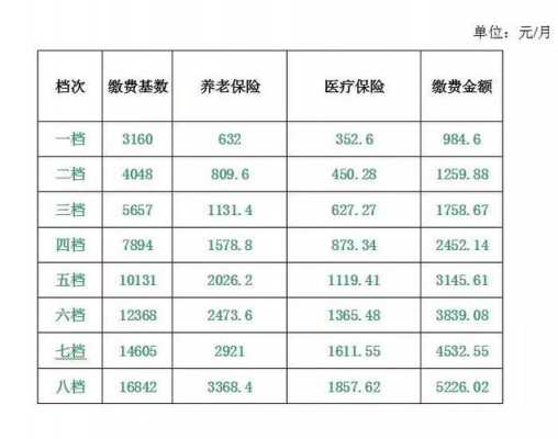 今年统筹交多少（今年社会统筹保险交多少钱）