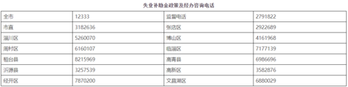 保险失业补助金是多少（保险失业补助金怎么办理）