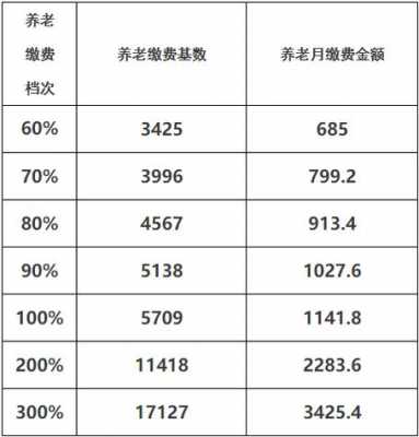 社保养老险一个月多少钱（社保养老保险一个月多少钱）