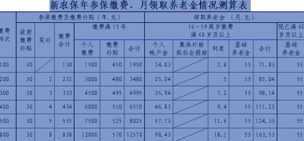 今年的养老保险是多少钱（今年的养老保险是多少钱2022柳州）