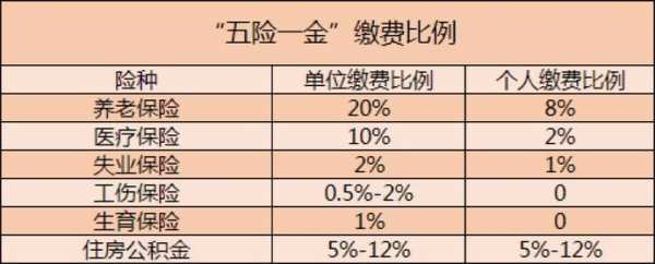 七险一金交多少（七险一金缴费比例）