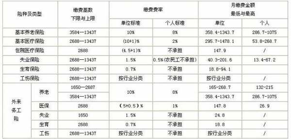 社保一年交多少钱（社保一年交多少钱2023）