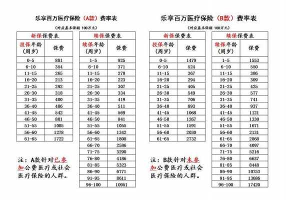 一百万全险多少钱一年（100万全险什么意思）