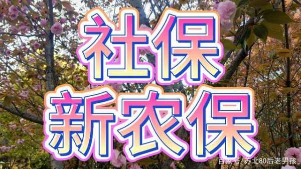 农村合作社和社保区别？合作社医疗保险