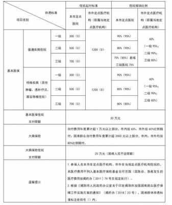 2022年大病医疗保险缴纳的说明？大病医疗保险缴费标准