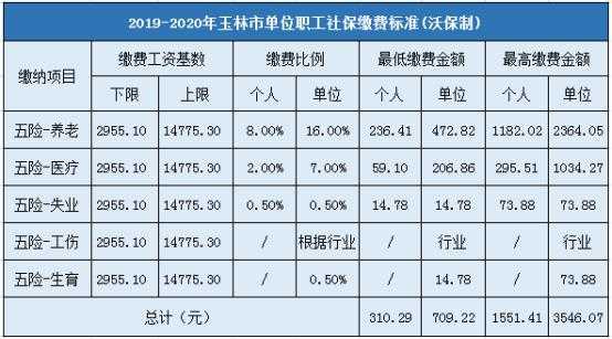 玉林社保要交多少钱（广西玉林市社保缴费基数最低多少）