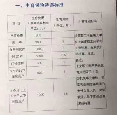 教师生孩子生育险大概可以报多少啊？生孩子医疗保险报多少