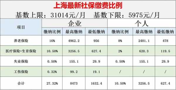 上海自己交社保交多少钱（上海自己交社保要多少钱）