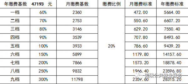 供电有多少养老保险（电网养老保险缴纳比例）