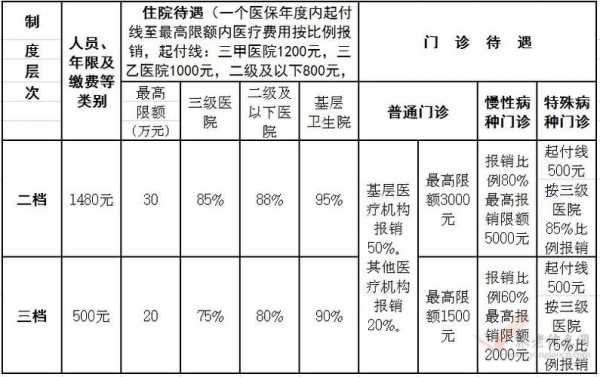 二档医保住院报多少（二档医保住院报多少钱）