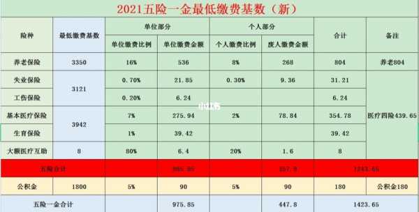 五险自己交多少（五险自己交多少钱一个月3000）