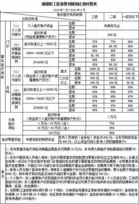 自费医保多少费用（自费医保多少钱）